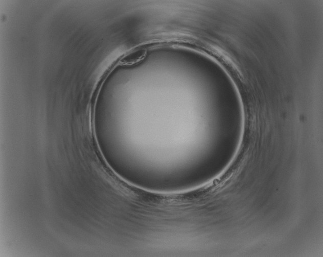 X0000073901275200608180949