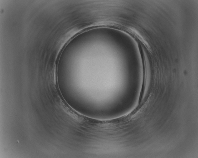 X0000073901276200608180949