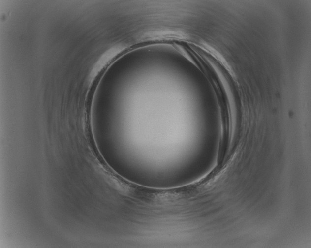 X0000073901277200608180949