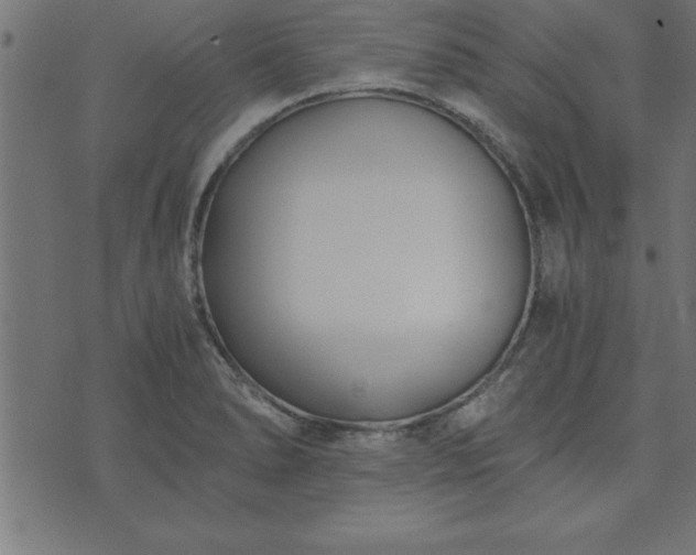 X0000073901278200608180949