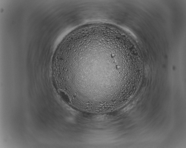 X0000073901279200608180949