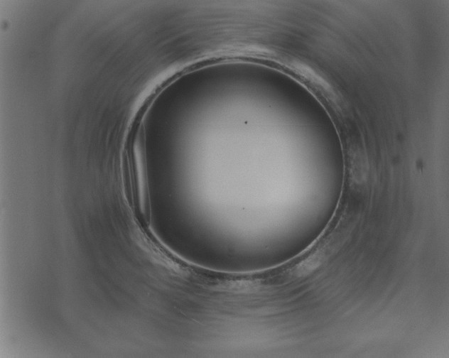 X0000073901280200608180949