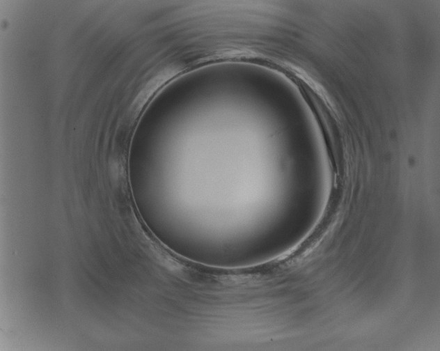 X0000073901281200608180949