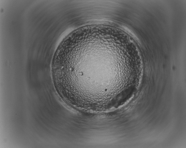 X0000073901283200608180949