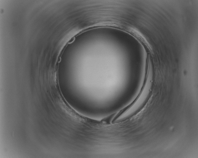 X0000073901284200608180949