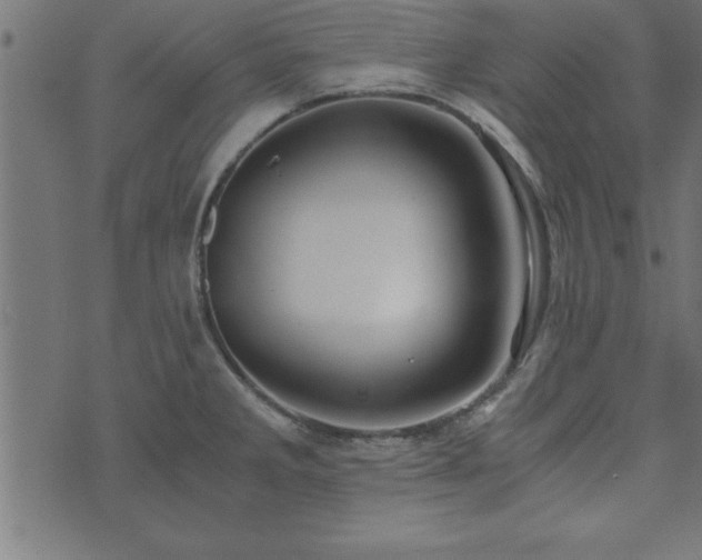 X0000073901285200608180949