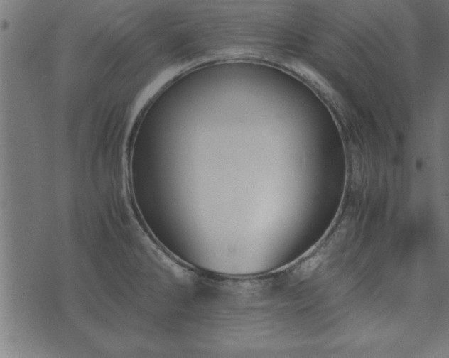 X0000073901286200608180949