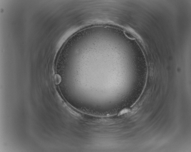 X0000073901287200608180949