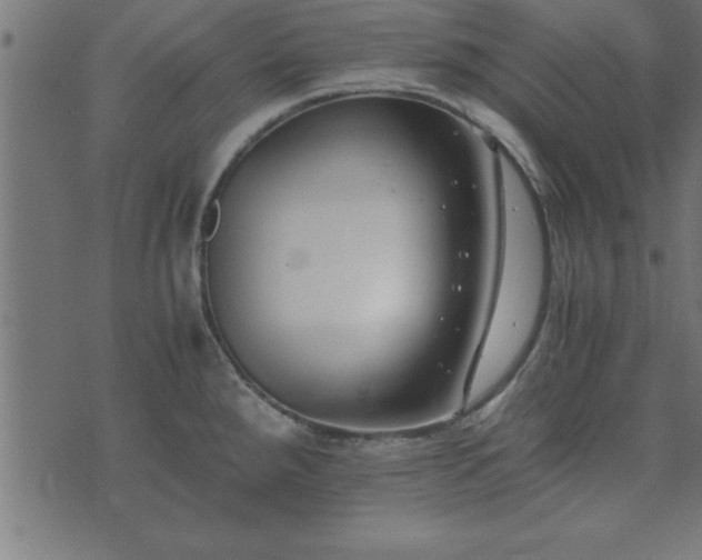 X0000073901288200608180949