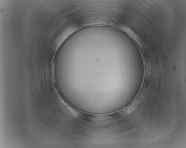 X0000073901290200608180949