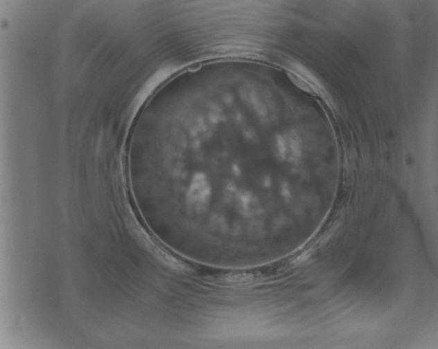 X0000073901291200608180949