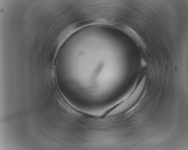 X0000073901292200608180949