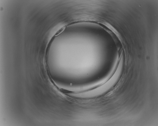 X0000073901293200608180949