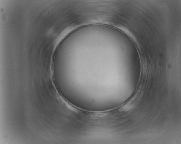 X0000073901294200608180949