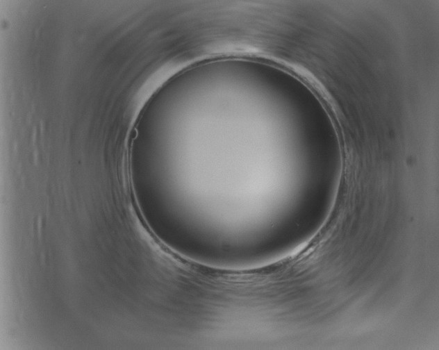 X0000073901295200608180949