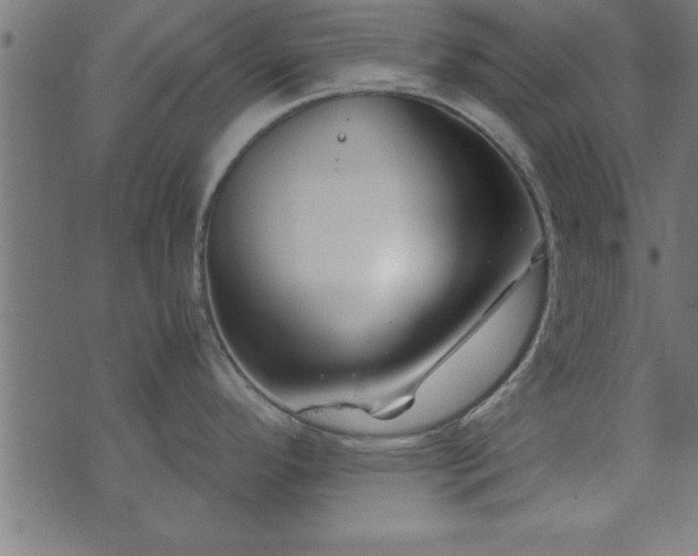 X0000073901296200608180949