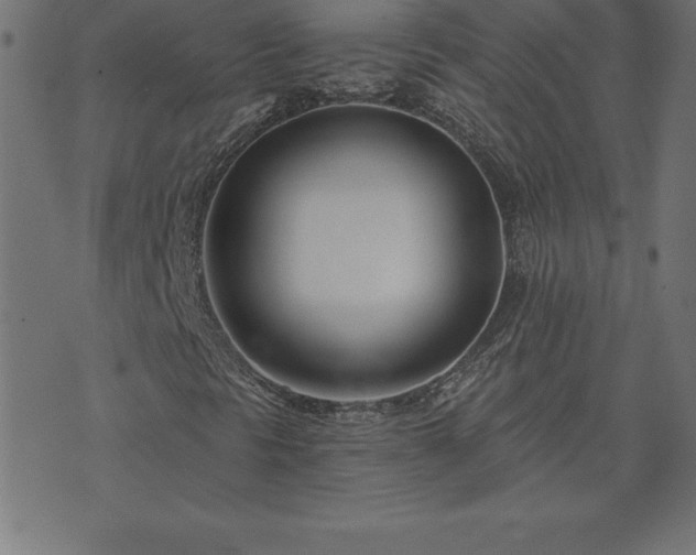 X0000073901297200608180948