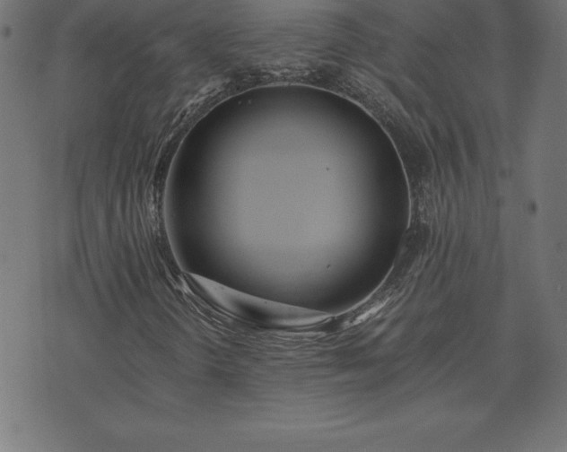 X0000073901298200608180948