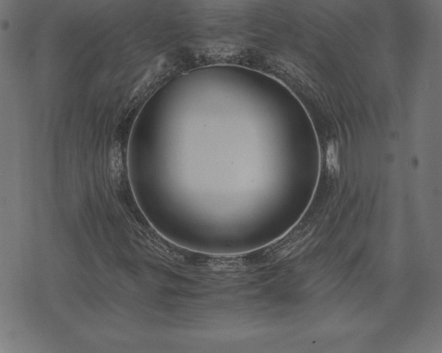 X0000073901299200608180948