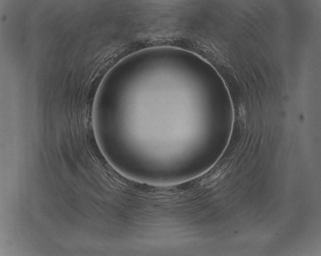 X0000073901300200608180948