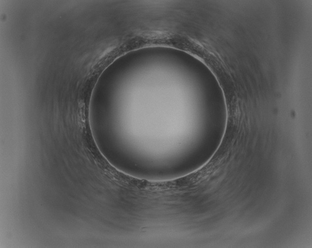 X0000073901301200608180948