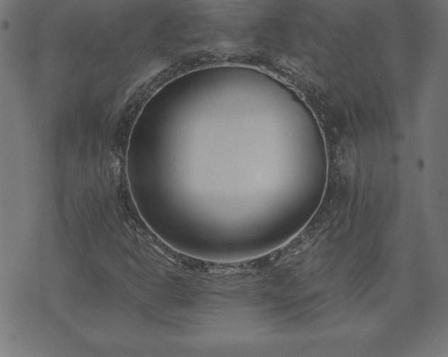 X0000073901302200608180948