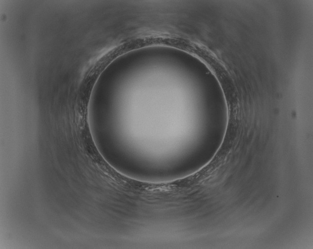 X0000073901303200608180948