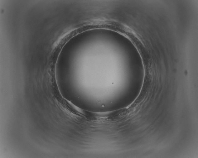 X0000073901304200608180948