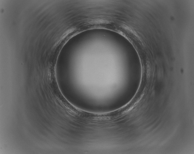 X0000073901305200608180949