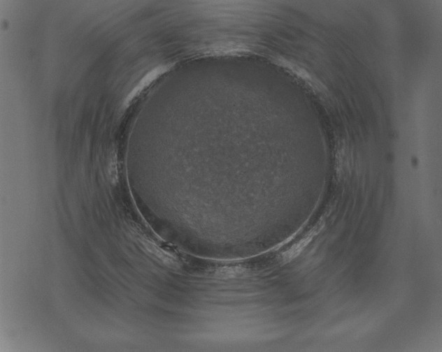 X0000073901306200608180949