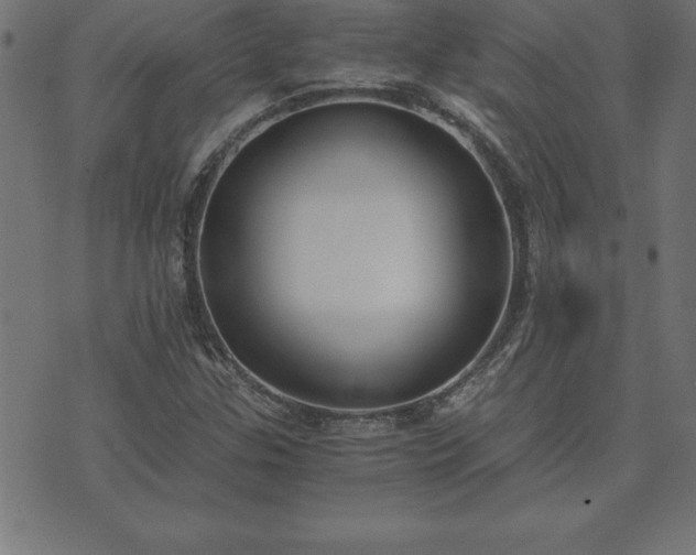 X0000073901307200608180949