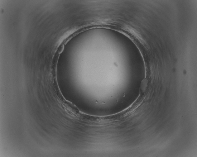 X0000073901308200608180949