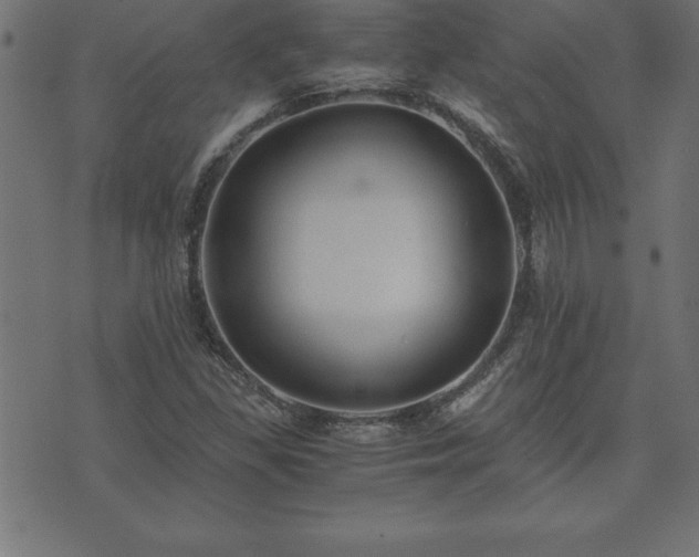 X0000073901309200608180949