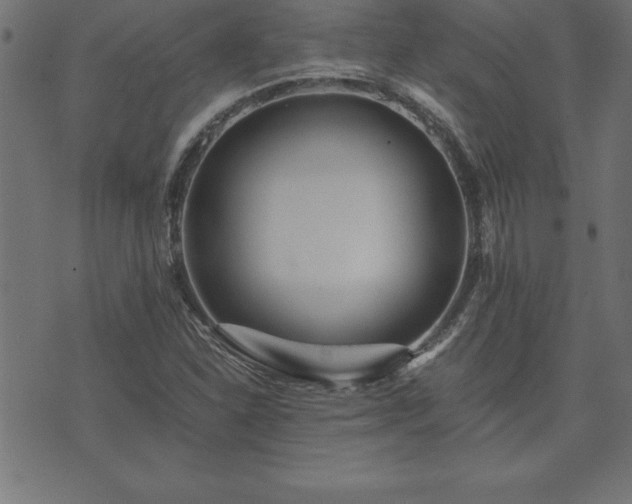 X0000073901310200608180949