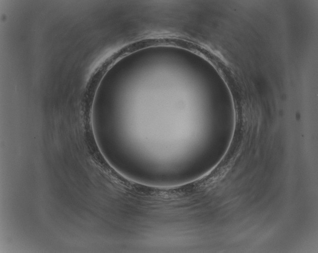 X0000073901311200608180949