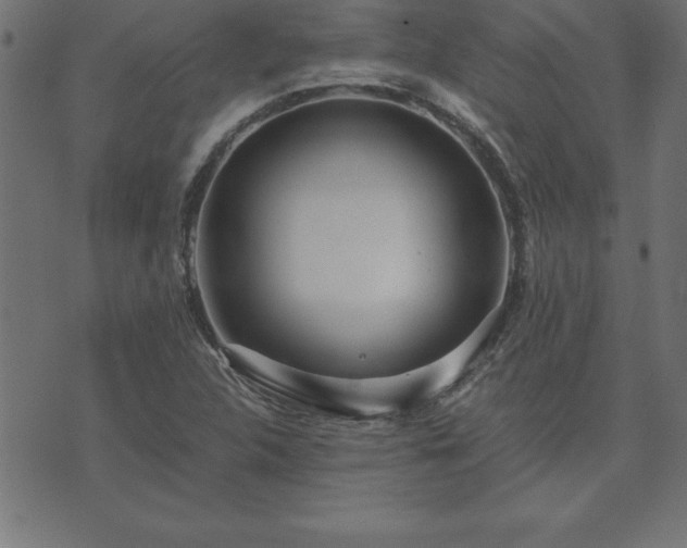 X0000073901312200608180949