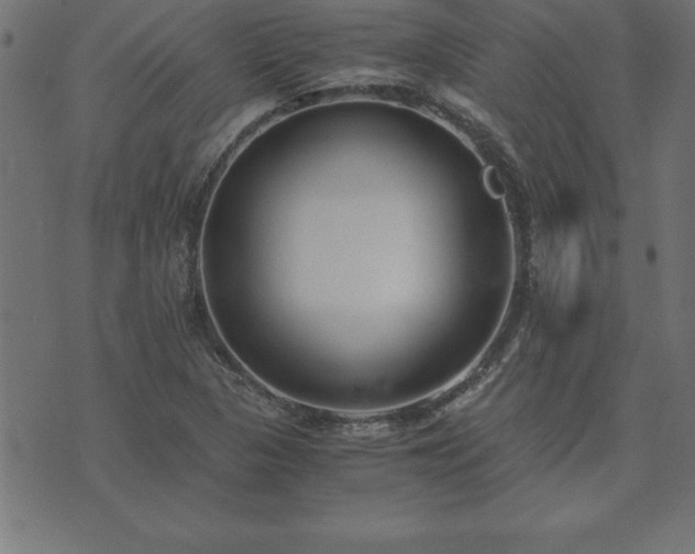 X0000073901313200608180949