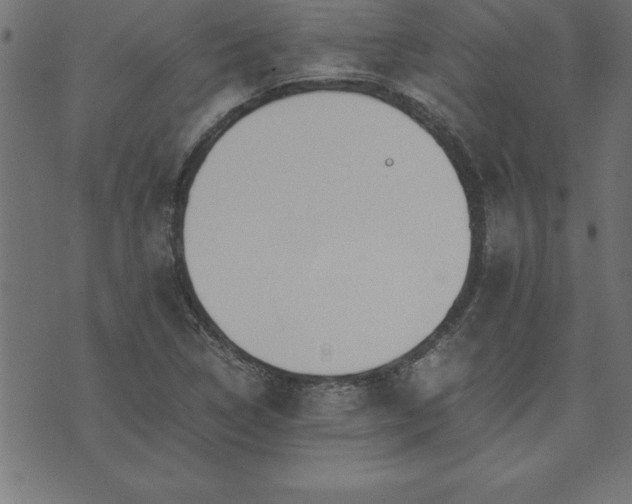 X0000073901314200608180949