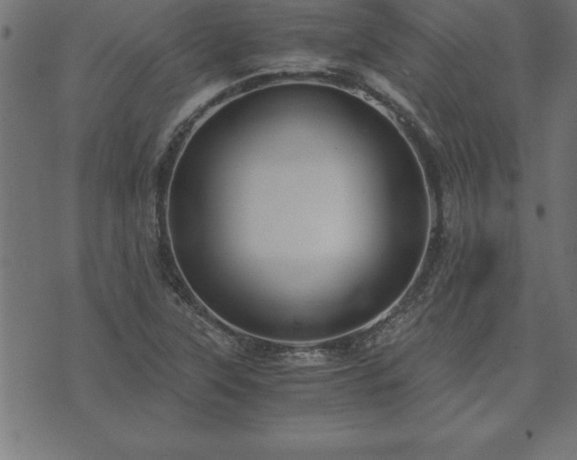 X0000073901315200608180949