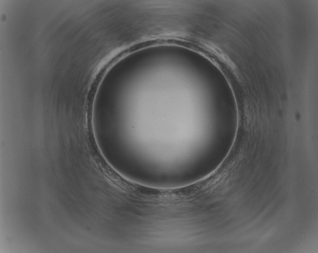 X0000073901316200608180949