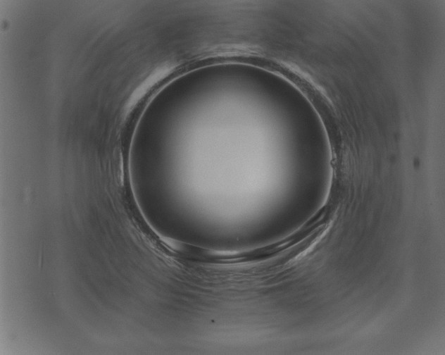 X0000073901317200608180949