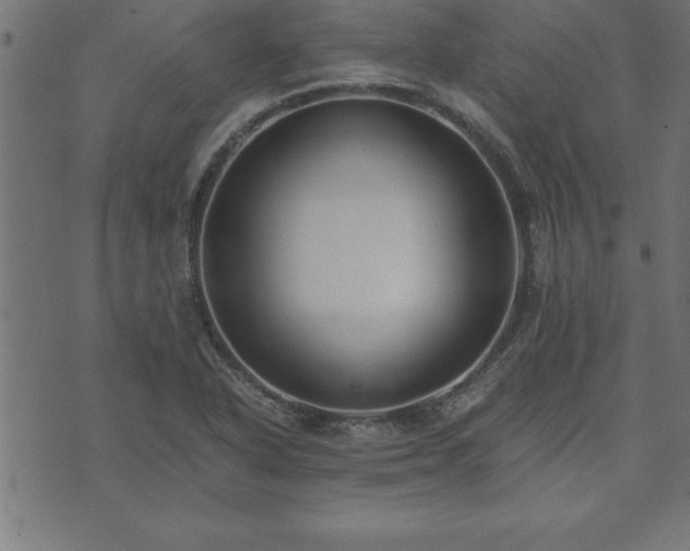 X0000073901318200608180949