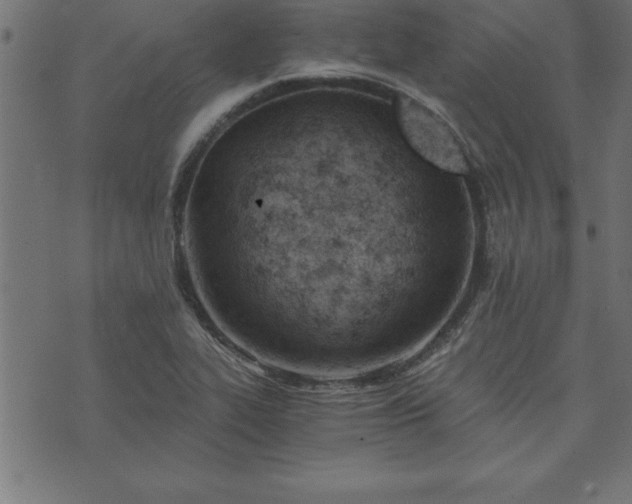 X0000073901319200608180949