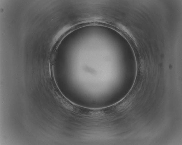 X0000073901320200608180949