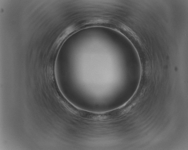 X0000073901321200608180949