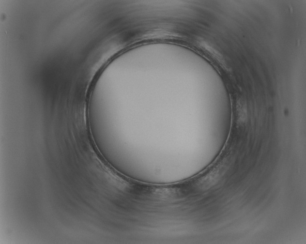 X0000073901322200608180949