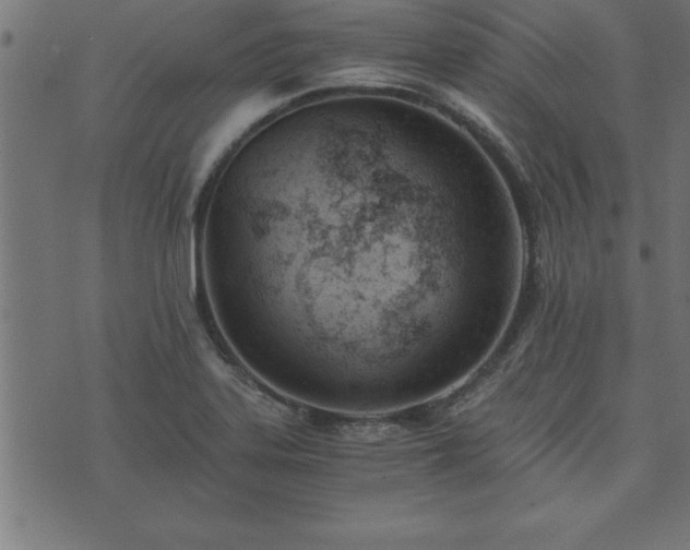 X0000073901323200608180949