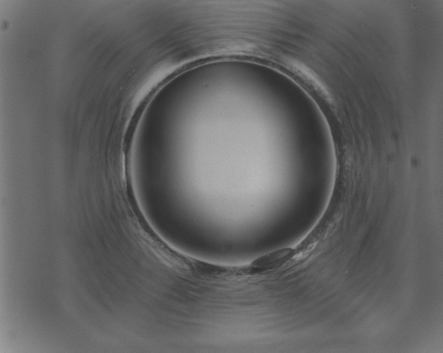 X0000073901324200608180949