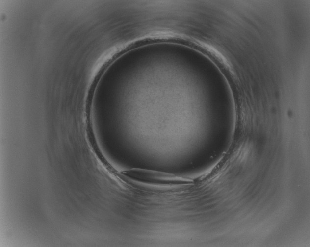 X0000073901327200608180949