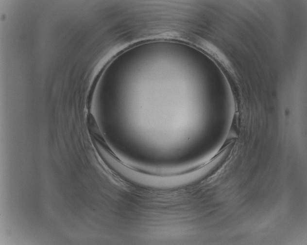 X0000073901332200608180949